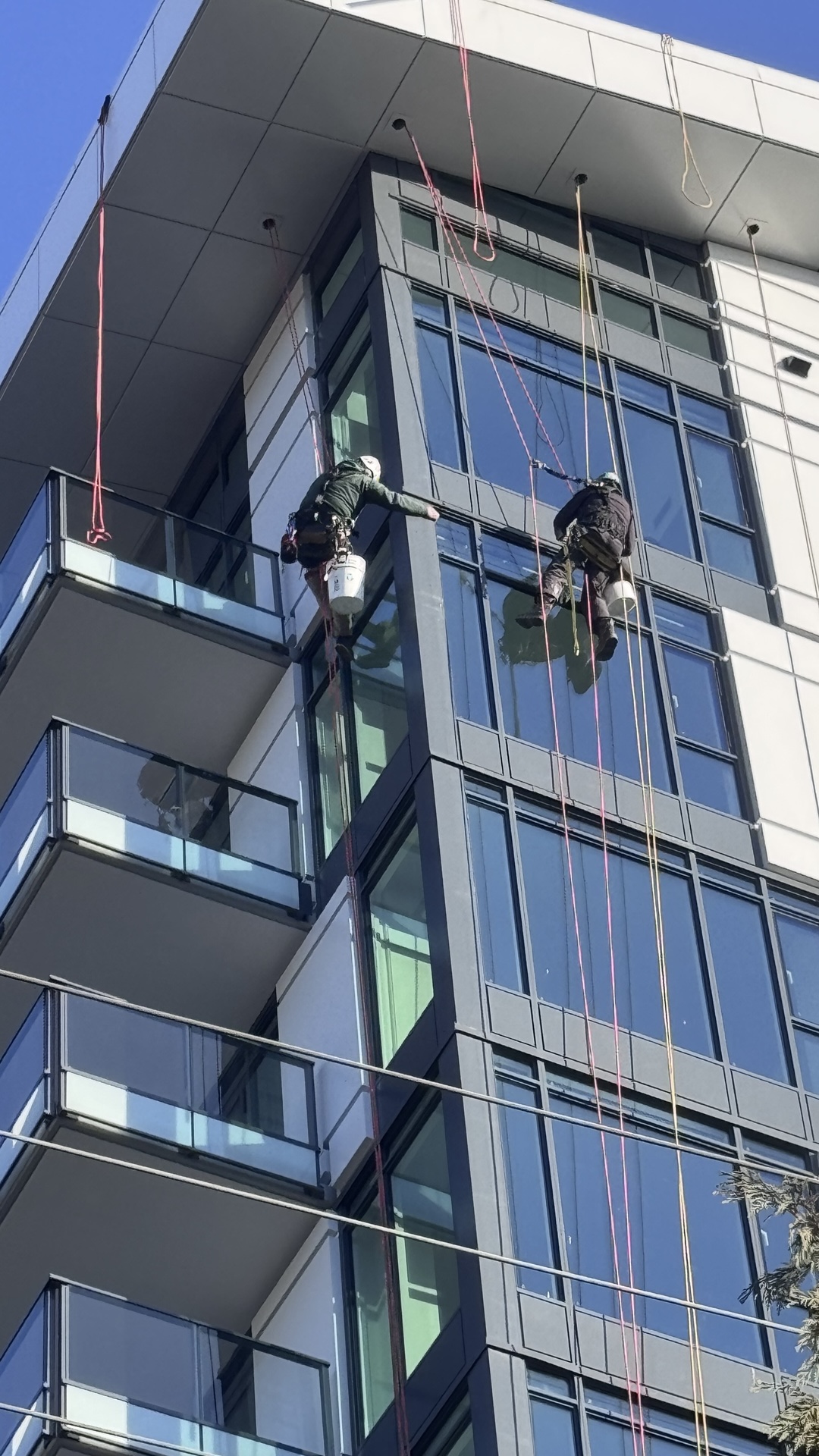 Building inspection service