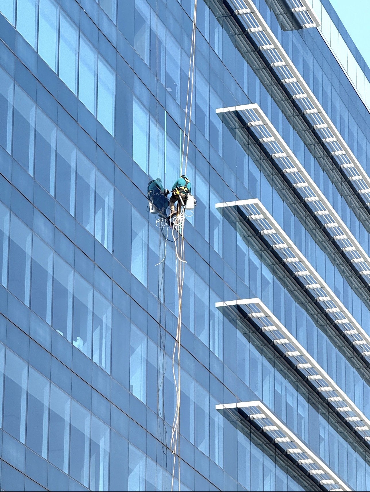 Bravika exterior maintenance project